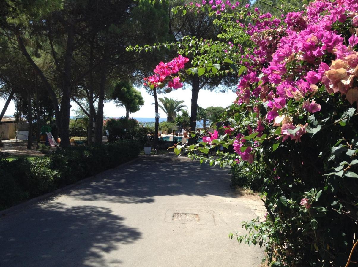 Deliziosa Villa 150 metri dal mare Quartu SantʼElena Esterno foto